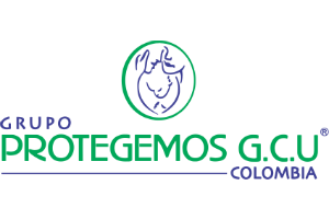 Client Logo - International Enterprise